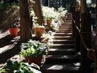 фото отеля Elliot House Bed & Breakfast