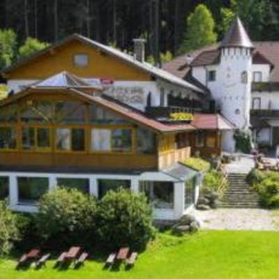 фото отеля Marchenhotel Waldpension Nebelstein Moorbad Harbach