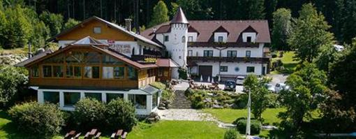 фото отеля Marchenhotel Waldpension Nebelstein Moorbad Harbach