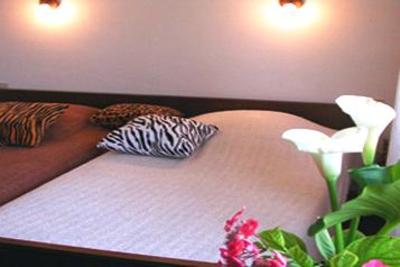 фото отеля Hotel A La Vignette Morsbronn-les-Bains