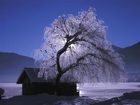 фото отеля Hotel Regitnig Weissensee