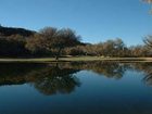 фото отеля Esplendor Resort at Rio Rico
