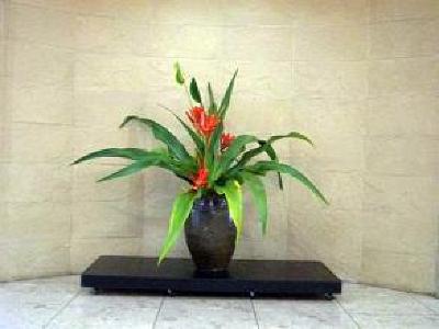 фото отеля Amami Sun Plaza Hotel