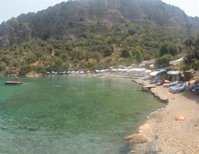 фото отеля Nuri's Beach Bungalows
