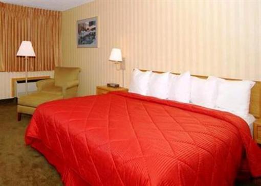 фото отеля Comfort Inn Livonia