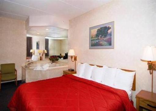 фото отеля Comfort Inn Livonia