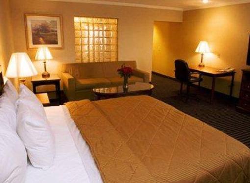 фото отеля Comfort Inn Livonia