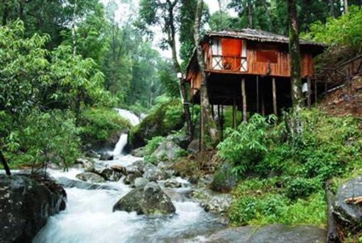 фото отеля Blue Ginger Wayanad Resorts