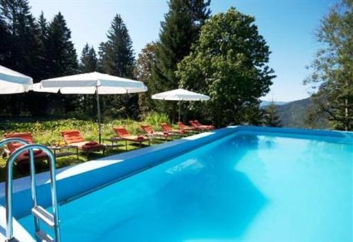 фото отеля Alpenhotel Goesing