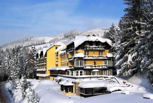 фото отеля Alpenhotel Goesing