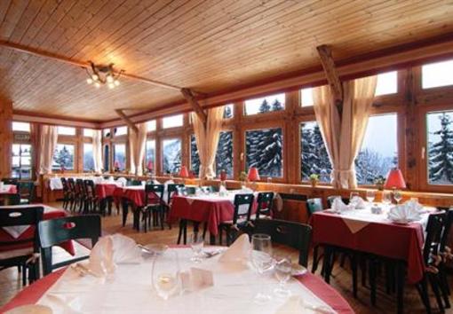 фото отеля Alpenhotel Goesing