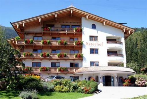 фото отеля ApartHotel Garni Asterhof Fügenberg