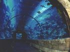 фото отеля Mandalay Bay Resort & Casino