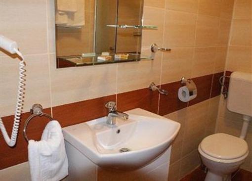 фото отеля Pension Ovidiu