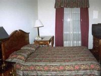 Amsterdam Hostel