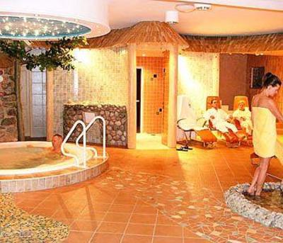 фото отеля Wellness-Ferien-Seminarhotel Raxalpenhof