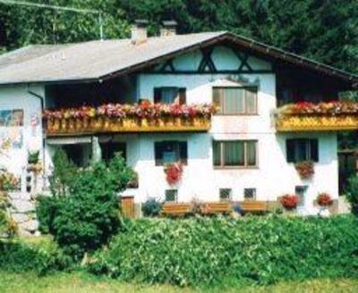 фото отеля Haus Webhofer Hutte