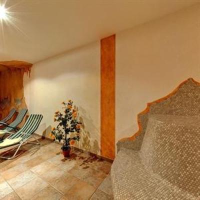 фото отеля Hotel Alpenrose Fendels