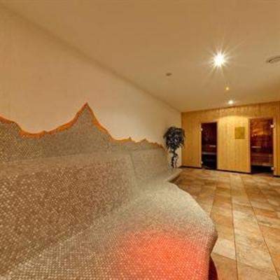 фото отеля Hotel Alpenrose Fendels