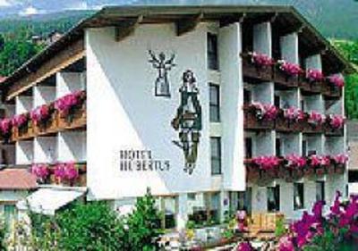фото отеля Hotel Alpina Nature and Wellness