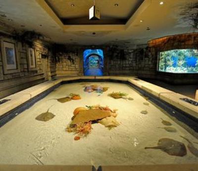 фото отеля THEhotel at Mandalay Bay