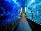 фото отеля THEhotel at Mandalay Bay
