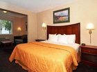 фото отеля Comfort Inn Bradford (Pennsylvania)