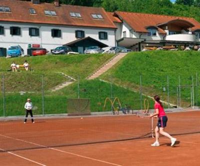 фото отеля Hotel & Tennis Riederhof