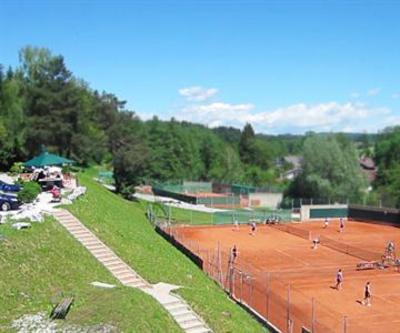 фото отеля Hotel & Tennis Riederhof