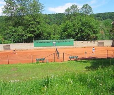 фото отеля Hotel & Tennis Riederhof