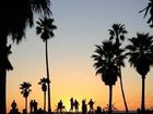 фото отеля Venice Beach Hostel - Yale Avenue