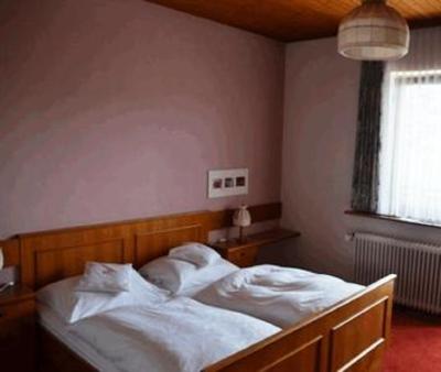 фото отеля Pension Concordia Ramsau am Dachstein