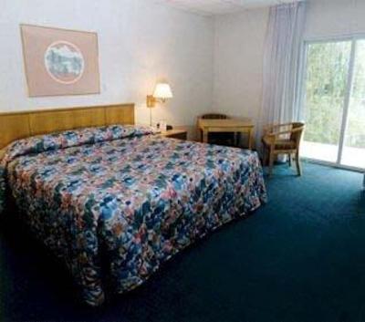 фото отеля Owego Treadway Inn
