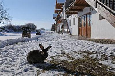 фото отеля Geinberg Suites Polling im Innkreis