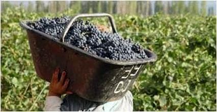 фото отеля Postales Boutique Wine Hotels - Valle de Uco