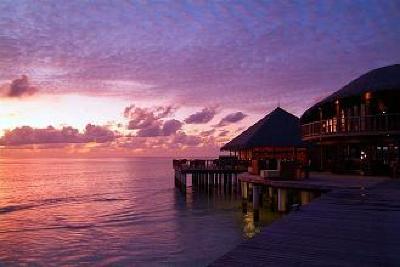 фото отеля Coco Palm Bodu Hithi