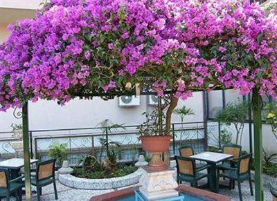 фото отеля Villa Belvedere Hotel Cefalu