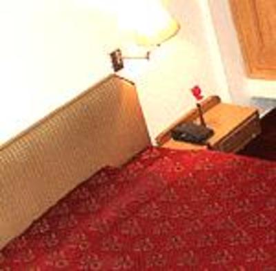 фото отеля Hotel Maggi Star