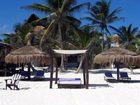 фото отеля Playa Mambo