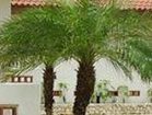 фото отеля Eco Village Iriomote