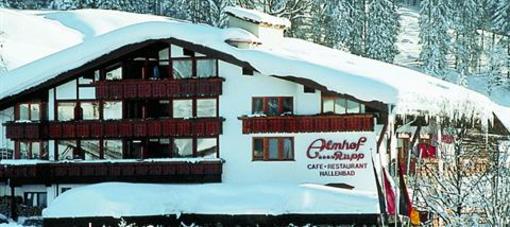 фото отеля Appartements Almhof Rupp