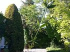 фото отеля Domaine des Roses