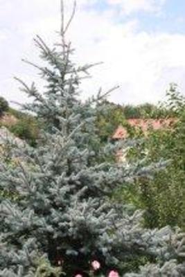 фото отеля Getap