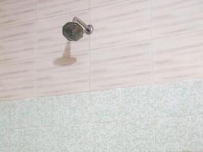 фото отеля Hotel Gitanjali