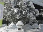 фото отеля Gasthof und Reiterhof Hochfilzer