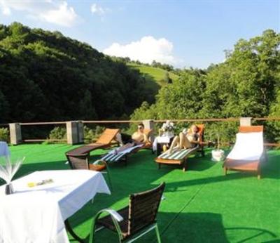 фото отеля Vila Roca Hotel Valea Draganului