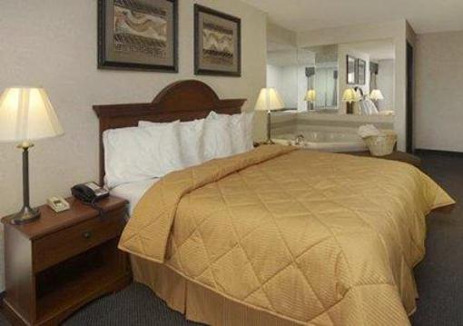 фото отеля Comfort Inn & Suites Dimondale