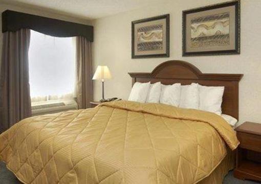 фото отеля Comfort Inn & Suites Dimondale