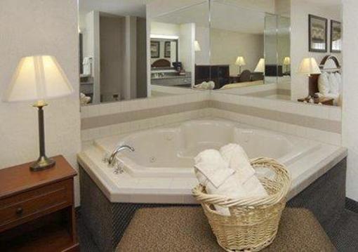 фото отеля Comfort Inn & Suites Dimondale
