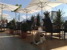 фото отеля Hotel Salzburg